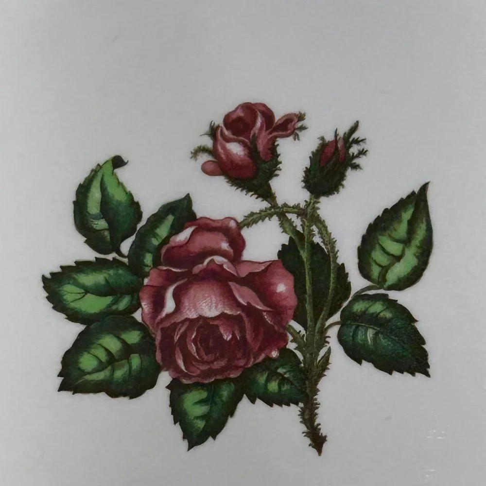 Wedgwood Moss Rose Luncheon Plate Moss Rose Floral Ribbed Rim Made in England